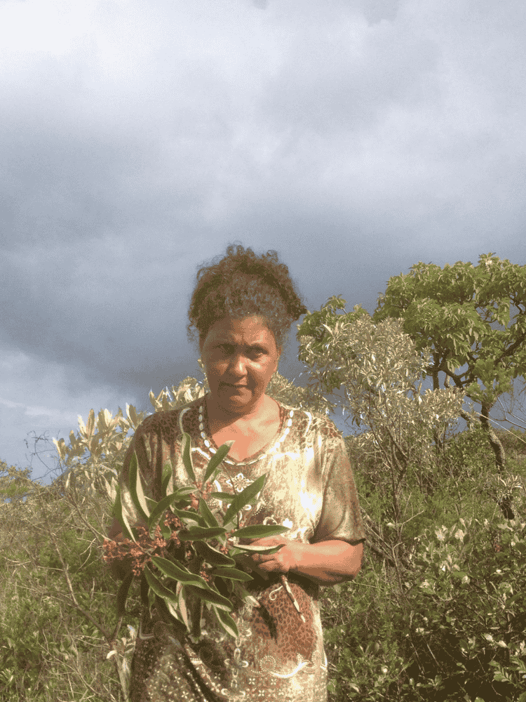 NOEME RIBEIRO DA CUNHA V2